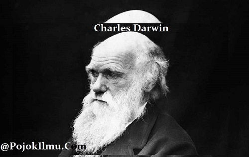 darwin